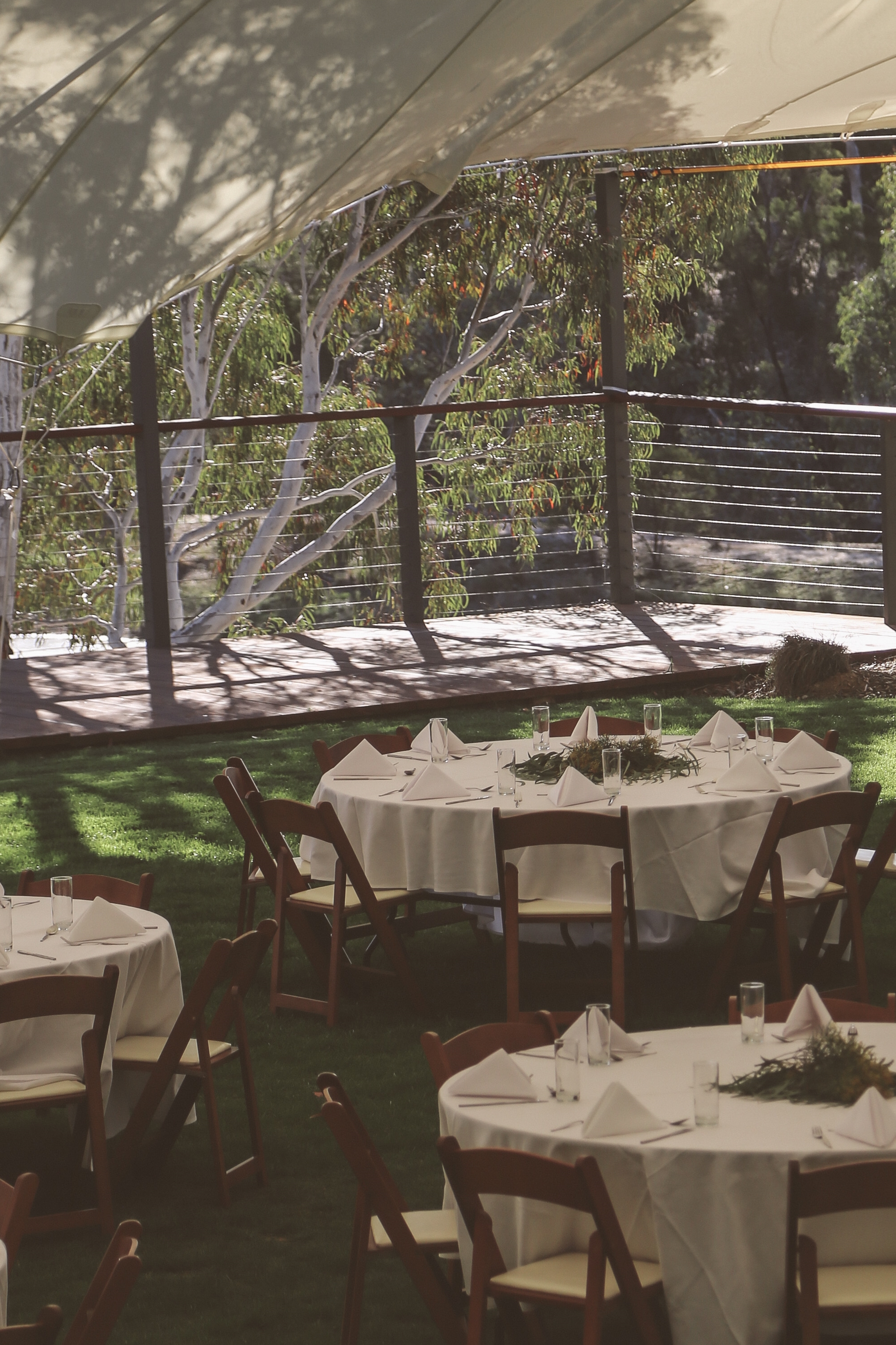 Goolabri - Offline-1815152